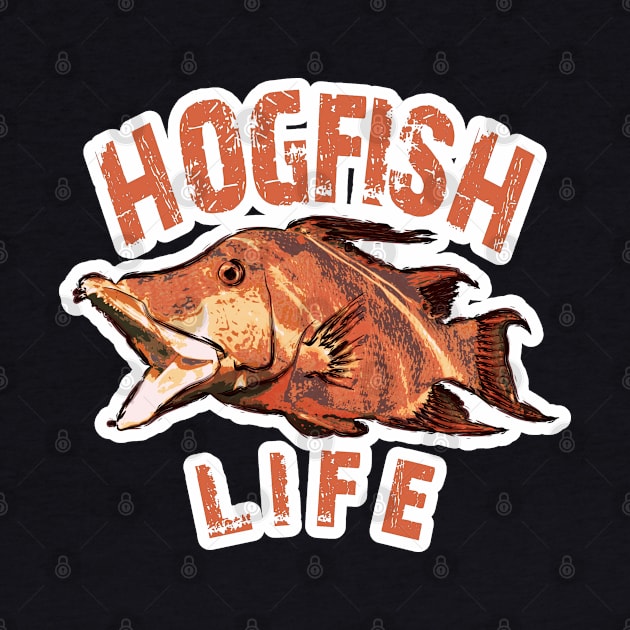 Hogfish Life by Worldengine